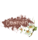 Contatti