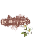 Dove siamo